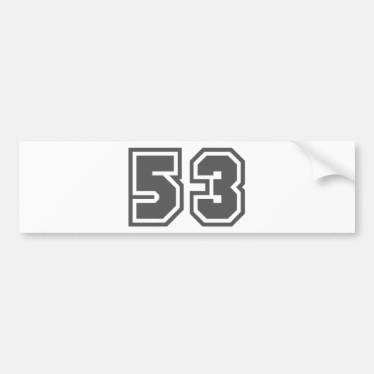 53 バンパーステッカー (正面)