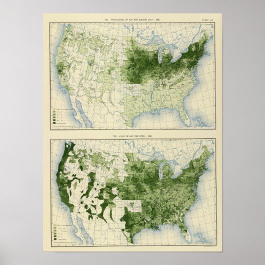 53 Hay 1890 ポスター (正面)