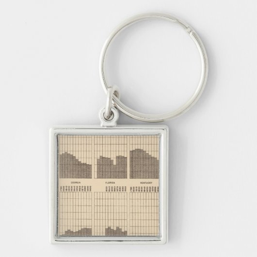 54白、黒人の人口、州、ea国勢調査 キーホルダー (正面)