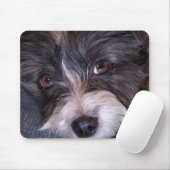 5402-メリーアンナ・ザ・パピジャックドッグ マウスパッド (マウス)