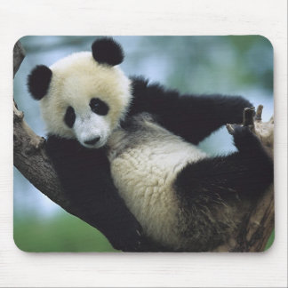 557711600wb1fp3 マウスパッド