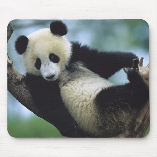 557711600wb1fp3 マウスパッド (正面)