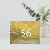 56歳の誕生日 ポストカード (スタンド正面)
