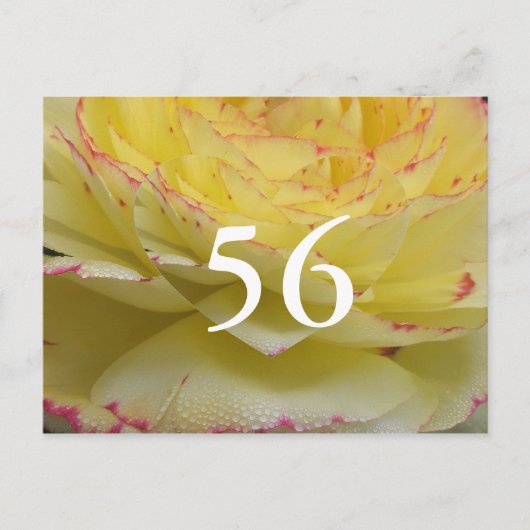 56歳の誕生日 ポストカード (正面)