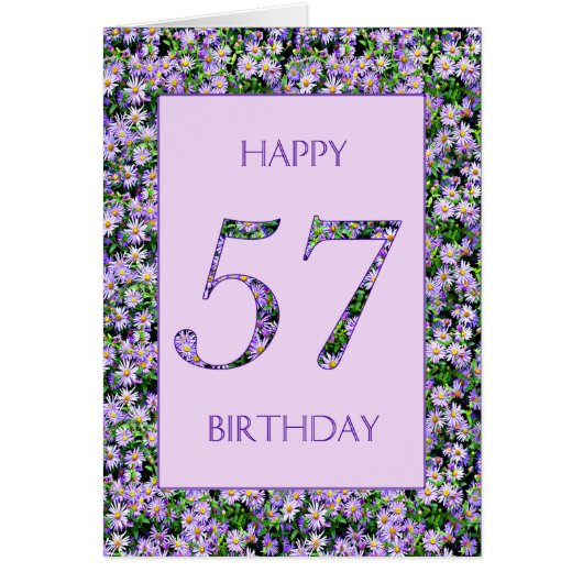 57誕生日紫デイジー (正面)