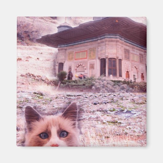 5.1 cm角マグネットキャット マグネット (正面)