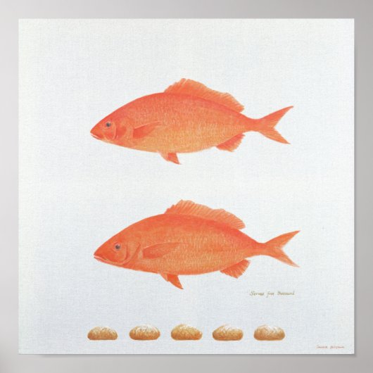 5,2005年 ポスター (正面)