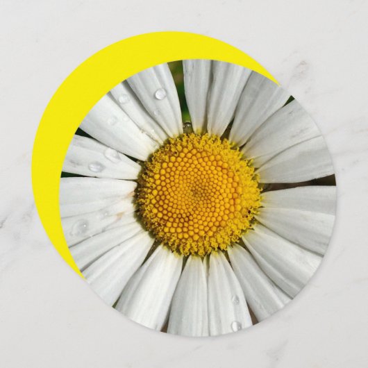 5.25 x 5.25 サマー・パーティー・サークル招待状 招待状 (正面/裏面)