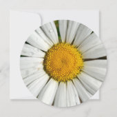 5.25 x 5.25 サマー・パーティー・サークル招待状 招待状 (正面)