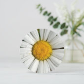 5.25 x 5.25 サマー・パーティー・招待状(丸型) 招待状 (スタンド正面)