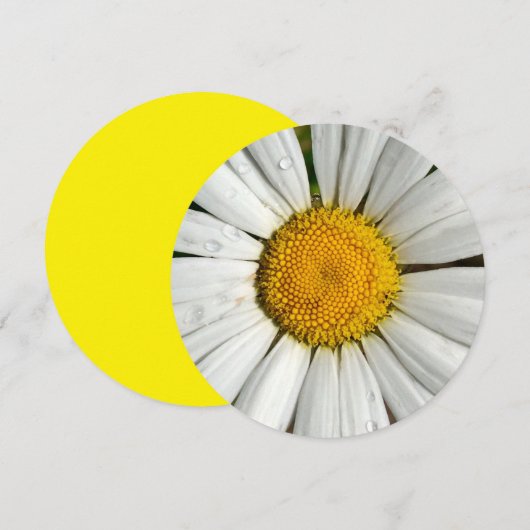 5.25 x 5.25 丸型招待状 招待状 (正面/裏面)