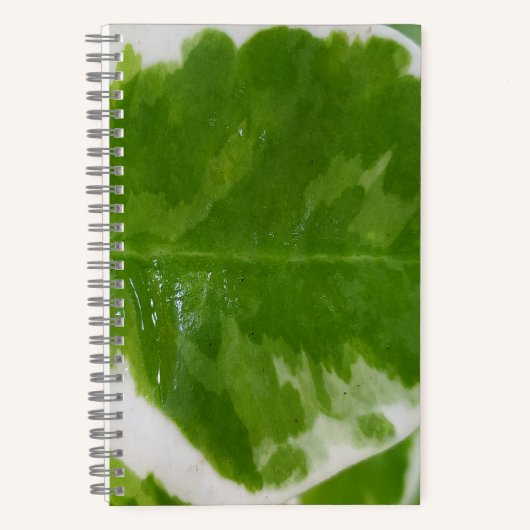 5.5インチx 8.5インチスパイラルノートブック(アイディアおよびノート用) ノートブック (正面)