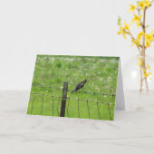 5 6 2009 044、1つの足のBobolink カード (黄色い花)