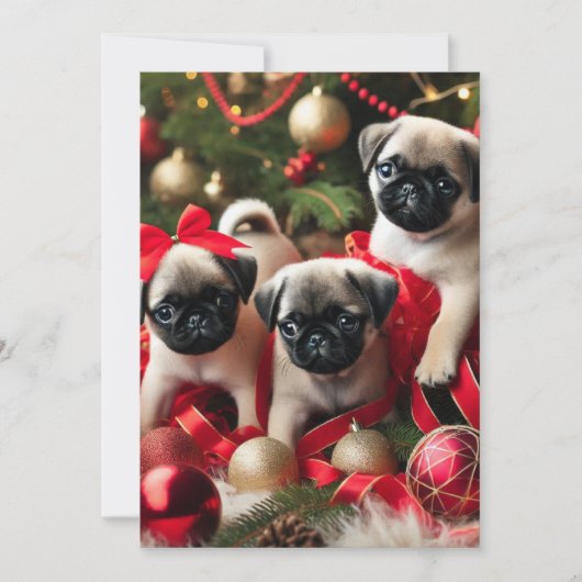 5×7 フラットホリデーカード シーズンカード (正面)