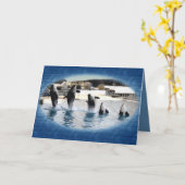 5! Marineland (フランス)のシャチ カード (黄色い花)