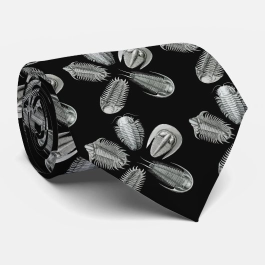 5 Trilobitesのタイ ネクタイ (ロール)