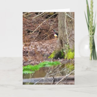 5"x7"折り畳みカード ||シャイウッドアヒル カード