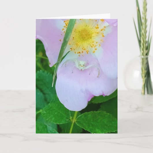 5"x7"折り畳みカード||スミリン カード (正面)