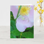 5"x7"折り畳みカード||スミリン カード (黄色い花)