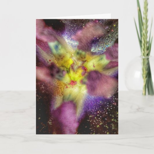 5"x7"折り畳みカード ||チューリップ超新星 カード (正面)