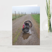 5"x7"折り畳みカード ||トルコ（霧）