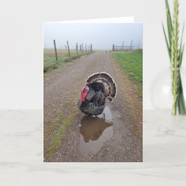 5"x7"折り畳みカード ||トルコ（霧） カード