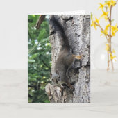 5"x7"折り畳みカード ||ファームリスの写真絵を描 カード (黄色い花)