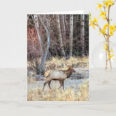 5"x7"折り畳みカード||ブルエルク カード (黄色い花)