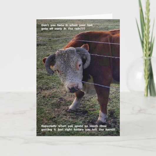 5"x7"折り畳みカード ||ポピエ・モーニング'Do カード (正面)