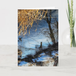 5"x7"折り畳みカード || Creek Reflection 16 カード