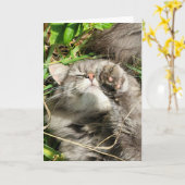 5"x7"折り畳みカード || Granite Cat昼寝 カード (黄色い花)