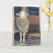 5"x7"折り畳みカード || Marshmallow カード (黄色い花)