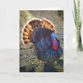 5"x7"折り畳みカード || Sunrise Thomas カード (正面)