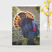 5"x7"折り畳みカード || Sunrise Thomas カード (黄色い花)