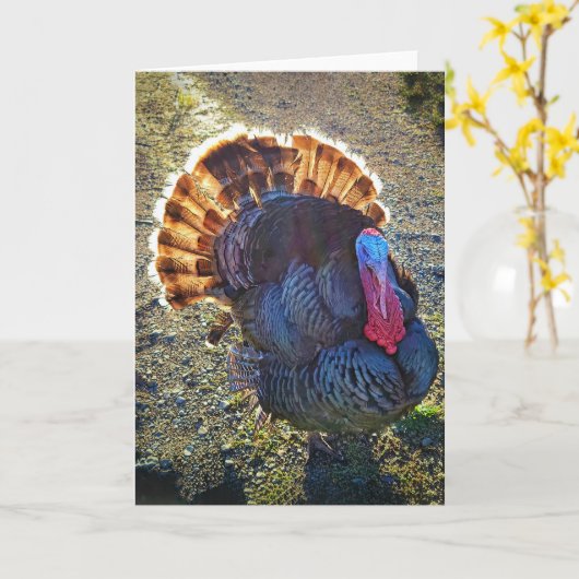 5"x7"折り畳みカード || Sunrise Thomas カード (黄色い花)