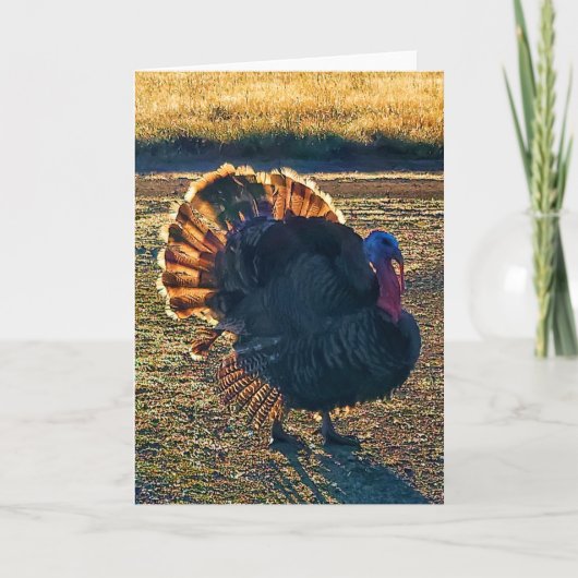 5"x7"折り畳みカード || Thomas a-Struttin' カード (正面)