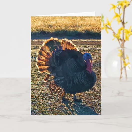 5"x7"折り畳みカード || Thomas a-Struttin' カード (黄色い花)