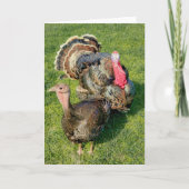 5"x7"折り畳みカード || Thomas & Henrietta カード (正面)