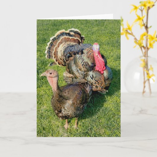 5"x7"折り畳みカード || Thomas & Henrietta カード (黄色い花)