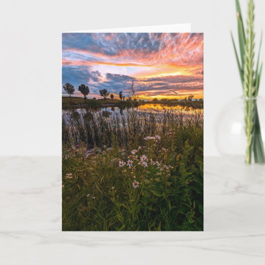 5 x 7ノートカ空白のードセット ノートカード (正面)