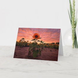 5 x 7ノートカ空白のードセット ノートカード