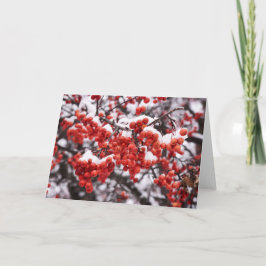 5 x 7ノートカ空白のードセット ノートカード