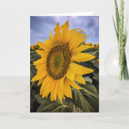 5 x 7ノートカ空白のードセット ノートカード