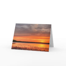 5 x 7ノートカ空白のードセット