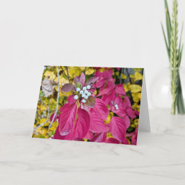 5 x 7ノートカ空白のードセット ノートカード