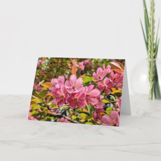 5 x 7ノートカ空白のードセット ノートカード (正面)