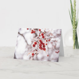 5 x 7ノートカ空白のードセット ノートカード