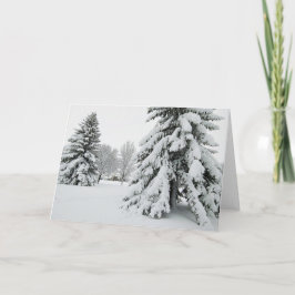 5 x 7ノートカ空白のードセット ノートカード