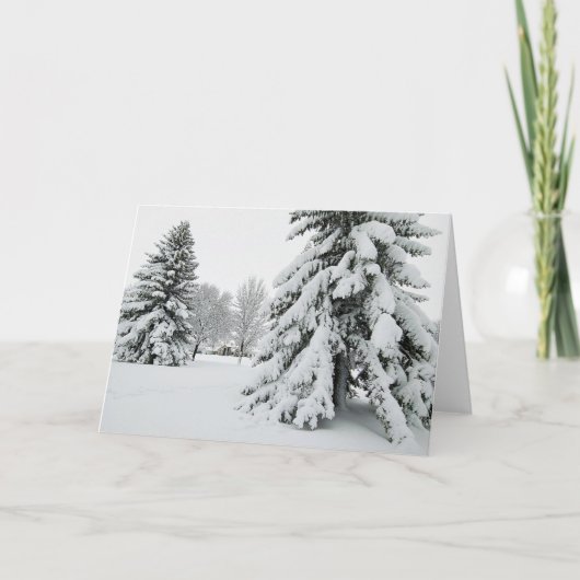 5 x 7ノートカ空白のードセット ノートカード (正面)