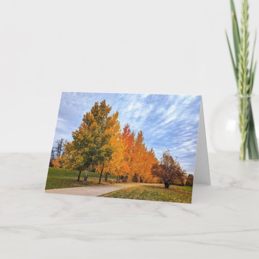 5 x 7ノートカ空白のードセット ノートカード (正面)